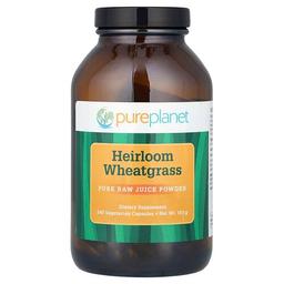 퓨어 플래닛 Pure Planet, Heirloom 밀싹, 베지 캡슐 240정