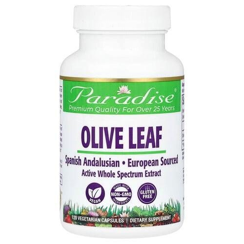 파라다이스 허브 Paradise Herbs, 올리브잎, 베지 캡슐 120정(캡슐 1정당 250mg) 상품 이미지