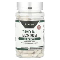 프로베이스 뉴트리션 Probase Nutrition, 구름버섯, 100mg, 캡슐 120정