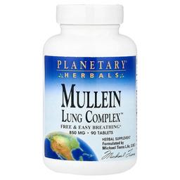 플랜터리 허벌 Planetary Herbals, Mullein, Lung Complex™, 90정