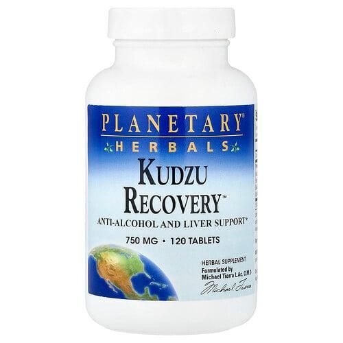 플랜터리 허벌 Planetary Herbals, Kudju Recovery™, 120정 상품 이미지