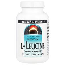 소스 네츄럴 Source Naturals, 유리형 l-류신, 500mg, 캡슐 120정