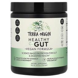 Terra Origin, Healthy Gut™, 비건 포뮬라, 246.6g(8.7oz)