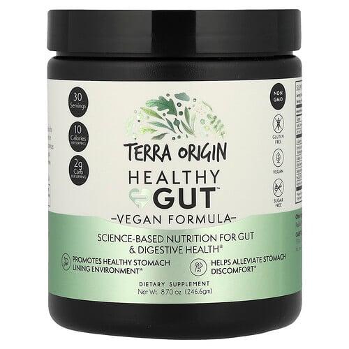 Terra Origin, Healthy Gut™, 비건 포뮬라, 246.6g(8.7oz) 상품 이미지
