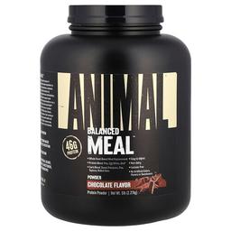 애니멀 Animal, Balanced Meal™, 프로틴 파우더, 초콜릿, 2.27kg(5lbs)
