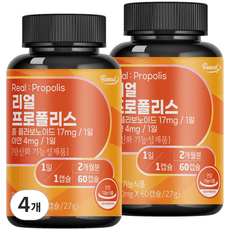 퍼니트 리얼 프로폴리스, 4개, 27g 상세 이미지