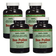 Y.S. Eco Bee Farms 100% Pure Bee Pollen 1000mg YS 에코비팜스 비폴렌 벌화분 1000mg, 4개, 200정 이미지