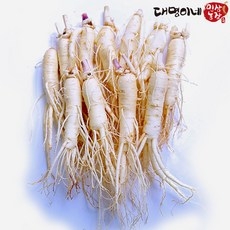 금산인삼 5년근 6년근 인삼 10~15뿌리 원수삼 세척/선물포장, 1개 상세 이미지