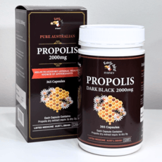 호주 프로폴리스 영양제 2000mg함량 365정 호주직구, 1박스 상세 이미지