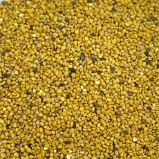 국산 벌화분 500g 강원도 도토리꽃 꿀벌 화분 천년건강 견과 냉장보관, 1개 상세 이미지