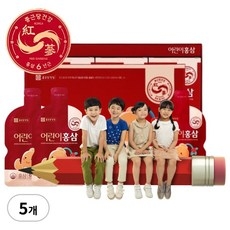 종근당 어린이 홍삼 6년근 홍삼농축액 사양벌꿀 진세노사이드 진액 원액 엑기스, 5개, 600ml 상세 이미지
