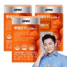 GNM 루테인11 / 비타민 6종 + 미네랄 4종 눈건강 비타민B 아연 엽산, 30정, 3개 상세 이미지