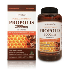 프로비 프로폴리스 2000mg 365정(PROBEE PROPOLIS 2000) + 사은품, 365정, 1개 상세 이미지