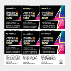 내츄럴플러스 근력운동엔 크레아틴 파워3000 독일산 프리미엄 운동수행능력 증가에 도움, 6박스 상품 이미지