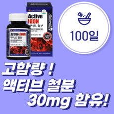 임산부철분제 생리철분제 출산후철분제, 100정, 1개 이미지