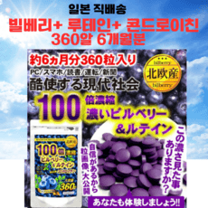 눈건강 관절 건강 빌베리 루테인 콘드로이친 효능 좋은 영양제, 1개, 360정