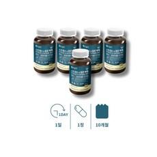 테아닌 음식 수면 잦은 야근 직장인 수험생 피로개선 긴장완화 홍경천 l 엘 테아닌 티아닌 테아린 태아닌 고삼 고등학생 중학생 영양제, 60정, 5개 상품 이미지