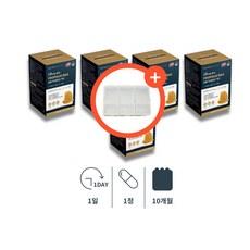 잇몸영양제 풀로폴리스 남성 여성 어린이 초등학생 면역력 에좋은 영양제 약국 프로폴리스 폴리폴리스 플로 포리 폴리스, 5세트, 60회분