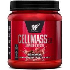 비에스엔 BSN CELLMASS 2.0 Post Workout Recovery with BCAA Creatine & Glutamine - Keto Friendly - Blue, Arctic Berry, 25 Servings (Pack of 1)