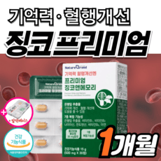 고함량 징코 플러스 기억력 혈액 혈행 개선 순환 약1개월 뇌 두뇌 다리 손발 저림 영양제 은행잎추출물 인지력 에좋은 하지 메디 정맥 수험생 감퇴 식약청 식약처 혈관 집중력 청소, 1박스, 30정