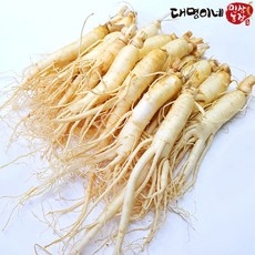 (세척)인삼수삼 오쿠홍삼용 원수삼 믹서 20뿌리내외 대명이네인삼, 1개 상세 이미지