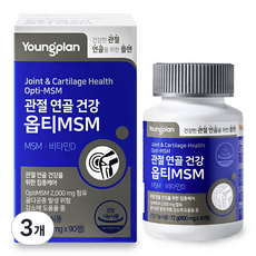 영플랜 옵티 MSM 2000 관절 연골 건강, 3개, 90정 상품 이미지