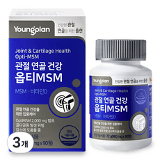 영플랜 옵티 MSM 2000 관절 연골 건강, 3개, 90정 상세 이미지