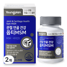 영플랜 옵티 MSM 2000 관절 연골 건강, 2개, 90정 상세 이미지