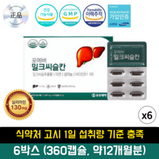 HnF 밀크씨슬칸 실리마린 130mg 식약처 고시 1일 섭취량 기준 충족 GMP 밀크씨슬, 60정, 6박스