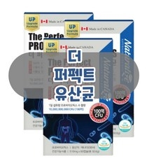 가스찰때유산균 가스유산균 배가빵빵해요 가스빼는법 유산균공복 방귀냄새유산균 잦은방귀유산균 장트러블 장활동 묵은변 가스제거유산균, 3박스, 60회분 상세 이미지