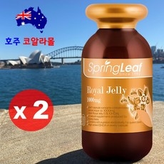 호주코알라몰 로얄젤리 Royal Jelly 365캡슐 스프링리프 Springleaf, 2개, 365정 상세 이미지