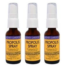 허니가든 프로폴리스 스프레이, 30ml, 3개 상품 이미지