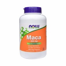 나우푸드 가바 500mg 100건강 보조제 VitaminB 감마아미노뷰티릭산 아미노산 Now foods 프로틴 상세 이미지