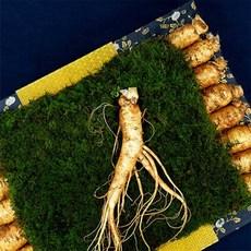 명품 수삼선물세트 8호 어르신선물 건강 선물, 1, 본상품선택 이미지