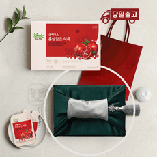 정관장 굿베이스 홍삼담은 석류파우치 보자기노리개 포장 쇼핑백 선물세트, 1.5L, 1박스 상품 이미지