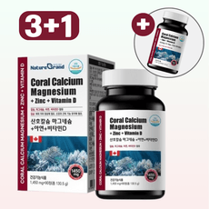 네이처그랜드 철분 올인원 산호칼슘 마그네슘 비타민D 아연 1 450mg, 4개, 90회분 상세 이미지