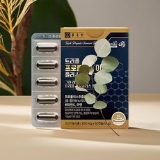 종근당 브라운 프로폴리스 비타민C 산화아연 그린 레드 토코페롤 코엔자임 셀렌, 1개, 60정 상세 이미지