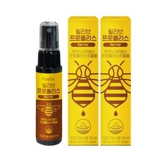 콜마생활건강 필리브 프로폴리스 스프레이 환절기 구강케어, 30ml, 2박스 상세 이미지