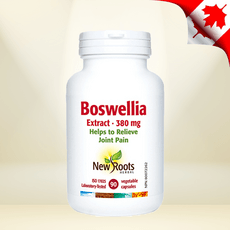 만성 통증 염증 관절 연골 보스웰리아 추출물 380mg 90정 캐나다산 뉴루츠, 보스웰리아 380mg 90정 상세 이미지