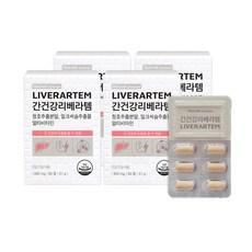 휴럼사이언스 간건강 리베라템 밀크씨슬 청호추출분말, 60정, 4박스 이미지