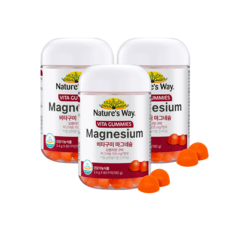 네이처스웨이 GC녹십자웰빙 비타구미 마그네슘 오렌지맛 192g, 3개, 240정 상세 이미지