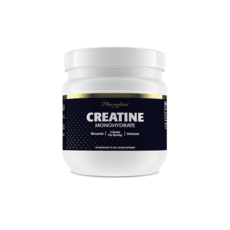 파라다이스허브 미립자 크레아틴 모노하이드레이트 5g 분말 무향 500g, 1개 상품 이미지