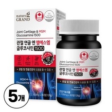 MSM 엠에스엠 관절 연골 건강 글루코사민, 5개, 60정 상세 이미지