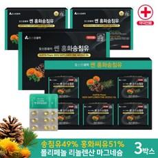 솔잎 송침유 홍화씨유 120캡슐X3박스 오스틴제약 홍화송침유 칼륨 마그네슘 리놀렌산 폴리페놀, 3개, 120정