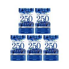 PURELAB 블루베리250 루테인 아사이 크린베리 서플리먼트 30일분, 5개, 60정 이미지