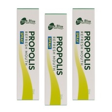 코스트코 트루블루 프로폴리스 리프레쉬 마우스 스프레이 박하향, 3개, 30ml 상세 이미지