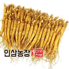더굿진생 인삼 수삼 금산인삼 원수삼 난발삼 파삼 삼계 350g, 1개, (세척안함)식당알뜰형350g(40~50뿌리 상세 이미지
