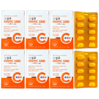 진정주 비타C1000 1100mg, 100정, 6개 상품 이미지