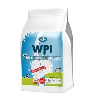 원데이뉴트리션 초코맛_단백질 쉐이크 헬스 보충제 포대 분리 유청 웨이프로틴 뉴 리얼 WPI 프로틴 상품 이미지