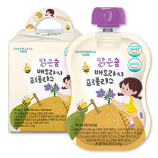 지엠팜 유아용 맑은숨 배도라지 프로폴리스 음료 10p, 1개, 700ml